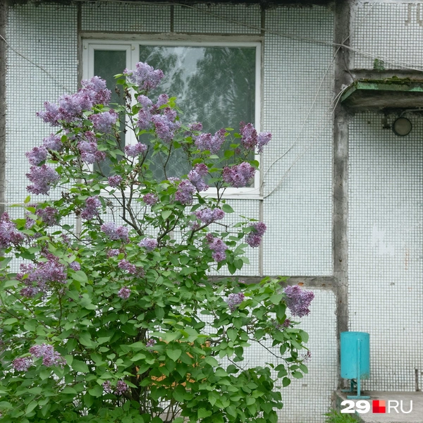 Источник: Ivan Mityushev