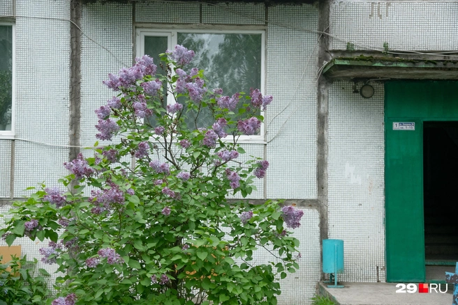 Источник: Иван Митюшёв / 29.RU