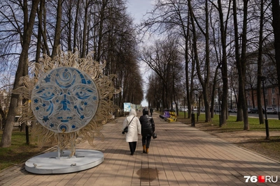 Озеленение Ярославля 2026: посадят 630 деревьев и 600 тысяч цветов