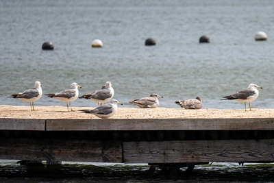 В Приморье 27 февраля ожидаются контрасты погоды