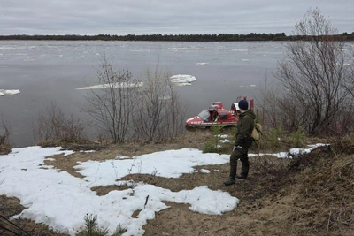 В Архангельской области две недели ищут пропавшую школьницу