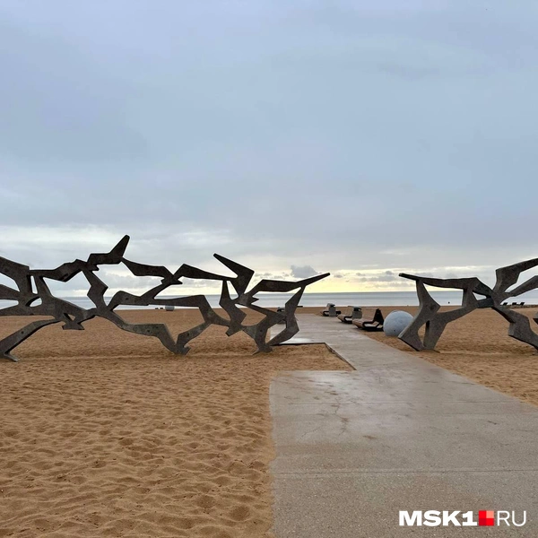 Источник: Екатерина Рябчук / MSK1.RU