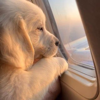 Аватарка tastanova31y82