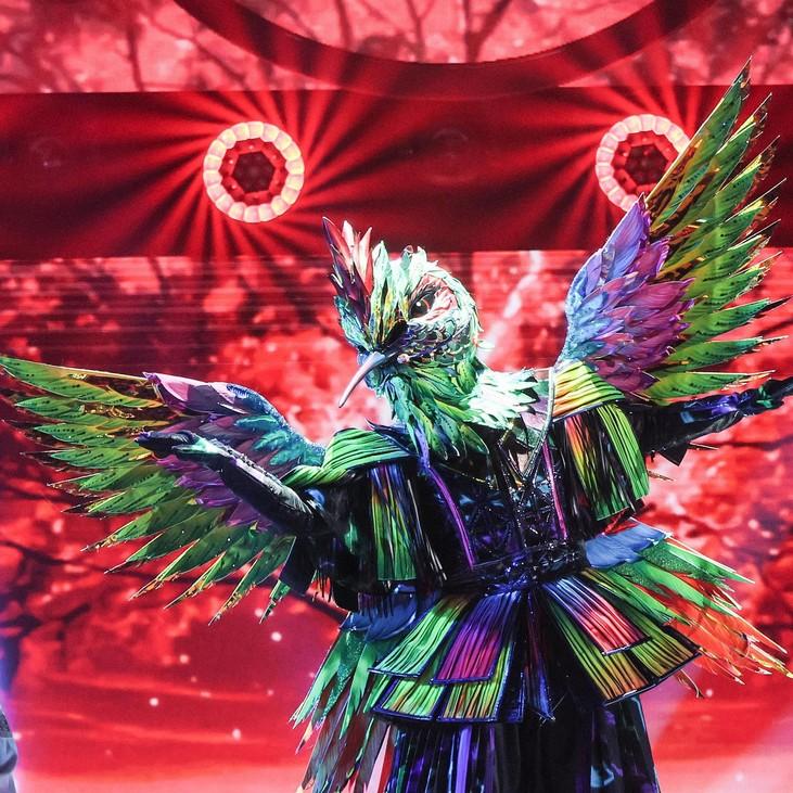 Шоу осталось без «пернатых»: жюри единогласно рассекретили яркую Колибри в десятом выпуске «Маски»