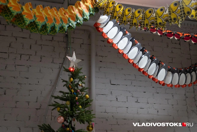 Источник: Елена Буйвол / VLADIVOSTOK1.RU