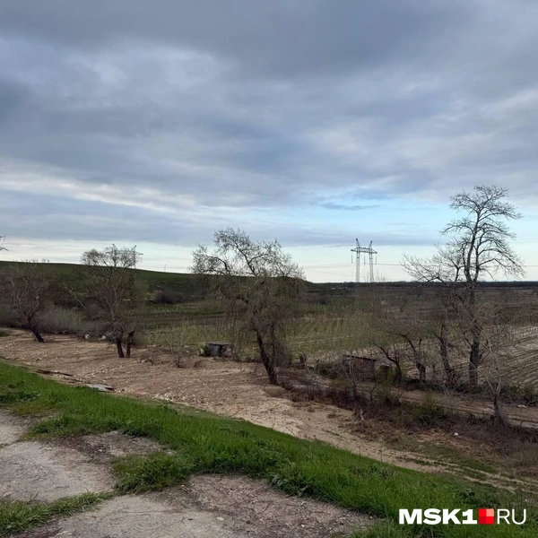 Виноградники у водохранилища | Источник: Иветта Авраамова / MSK1.RU