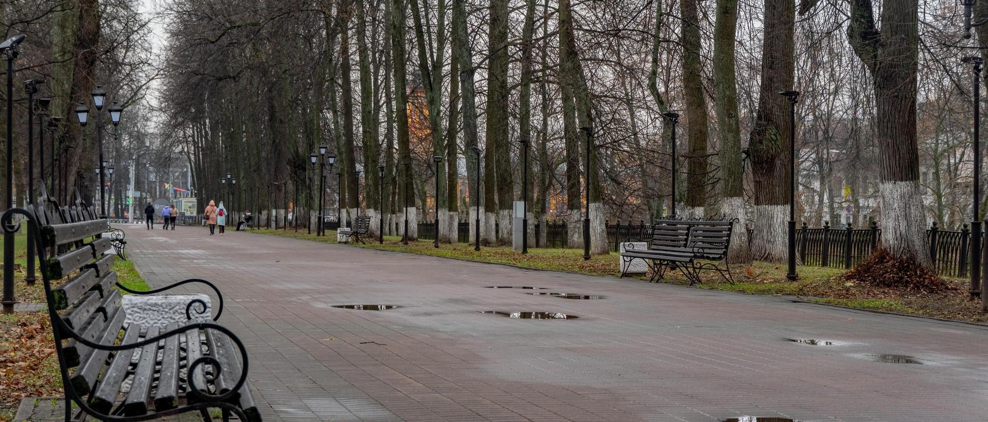 В Ярославле много бульваров, но этот узнается сразу | Источник: Кирилл Поверинов / 76.RU