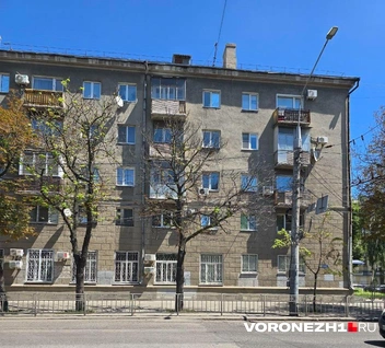 Источник: читательница Voronezh1.ru