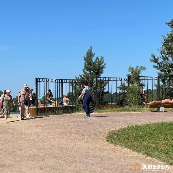 Отдых строгого режима. Что творится на двух озерах в Петербурге, где разрешено купаться | Источник: «Фонтанка.ру»
