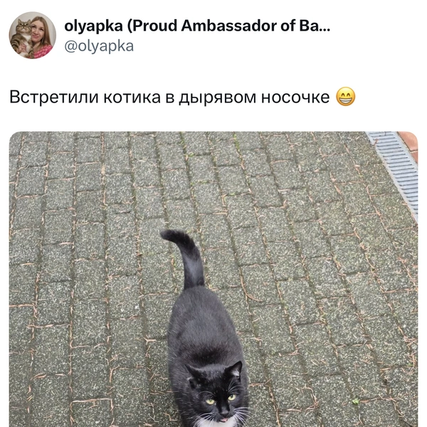 Источник: X (Twitter)