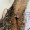 userpic__FoxX