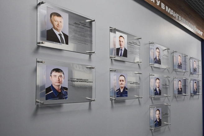 Источник: Елена Татарникова