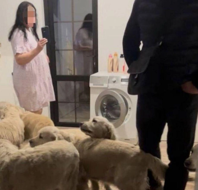 В доме жили не только мать с сыном, но еще и собаки, кошки и посторонние мужчины | Источник: предоставлено героями публикации