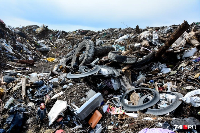 Перекопка свалок превращала землю в непригодную для жизни или выпаса скота | Источник: Артем Краснов