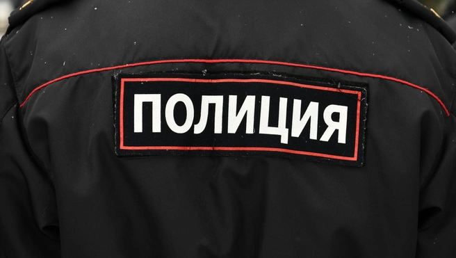 В Мурино неизвестные под видом полицейских похитили мужчину | Источник: Артём Устюжанин / E1.RU