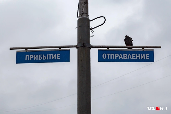 Первые два дня экскурсии волгоградцам, любящим и знающим свой город, можно пропустить | Источник: Константин Завриков / V1.RU