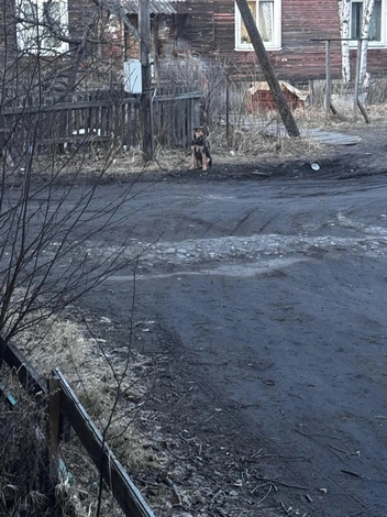 Источник: Юлия Иванова