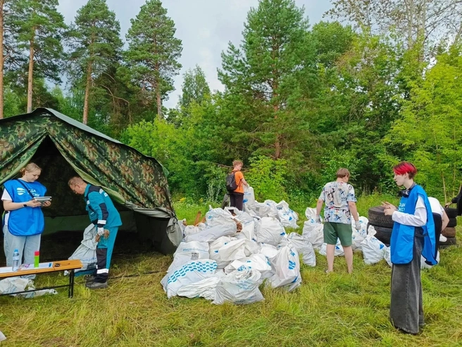 Акция проходит в рамках нацпроекта «Экологическое благополучие» и объединила уже больше 13 миллионов участников по всей стране | Источник: пресс-служба Министерства природных ресурсов, лесного хозяйства и экологии Пермского края