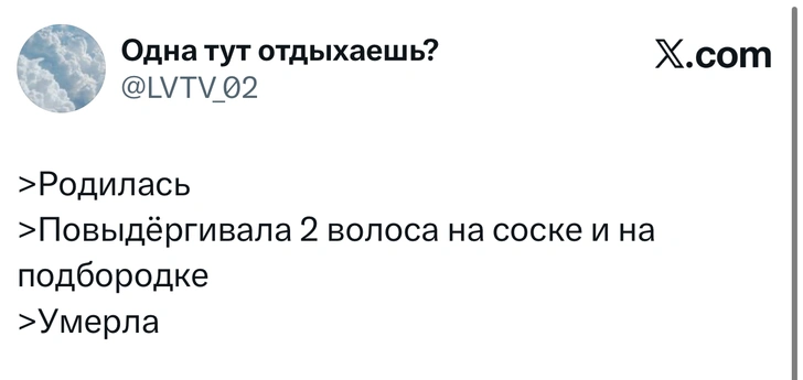 Источник: X (Twitter)