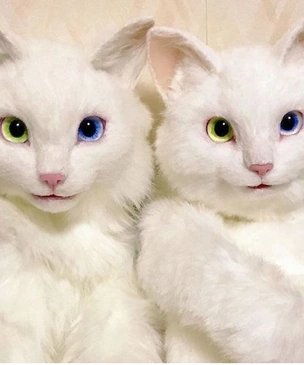 Японка делает сумки, похожие на живых котов (фото)