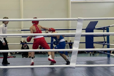 Бокс в Вырице: локомотив развития детского спорта