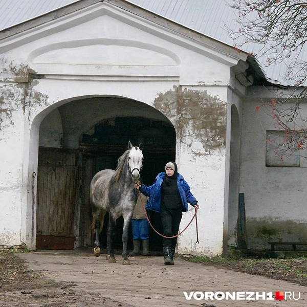 Источник: Александр Зинченко / Voronezh1.ru