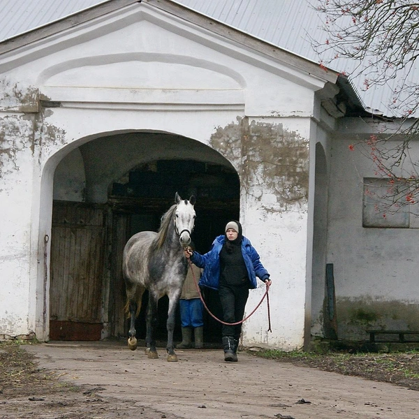 Источник: Александр Зинченко / Voronezh1.ru