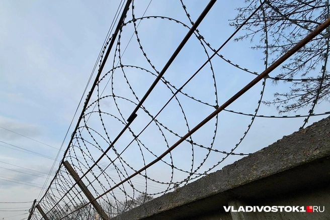 В СИЗО Егор провел больше 8 месяцев | Источник: Елена Буйвол / VLADIVOSTOK1.RU