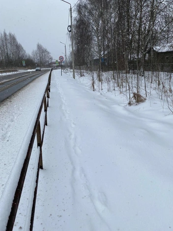 По данным прокуратуры, во время апрельских снегопадов травмировались ярославцы | Источник: прокуратура Ярославской области / Telegram