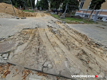 Источник: Алёна Воропаева / Voronezh1.ru