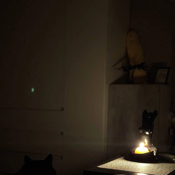 Источник: Осторожно, новости / Telegram 