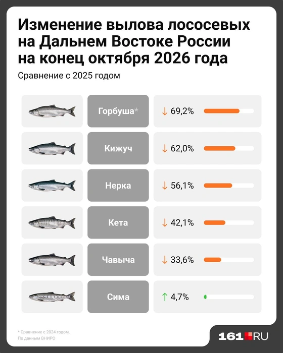 Малое количество горбуши стало основной проблемой Дальнего Востока  | Источник: Евгения Бикунова / Городские медиа