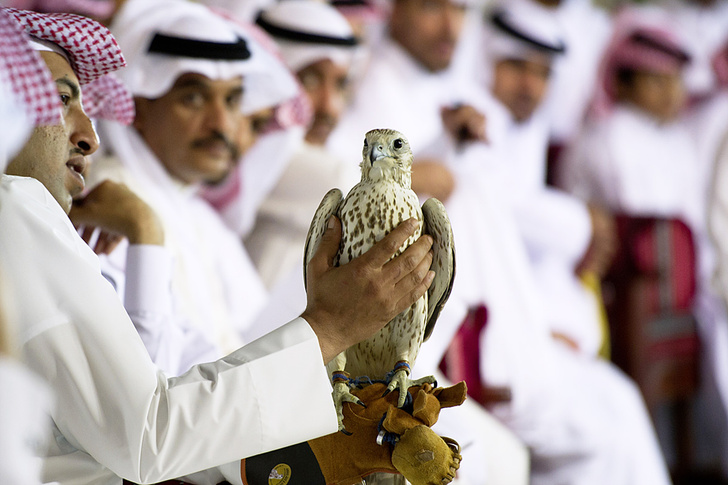 Катар: настоящее будущее
