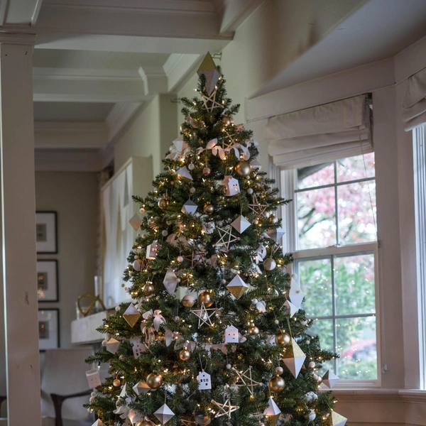 Источник: Лия Гриффит