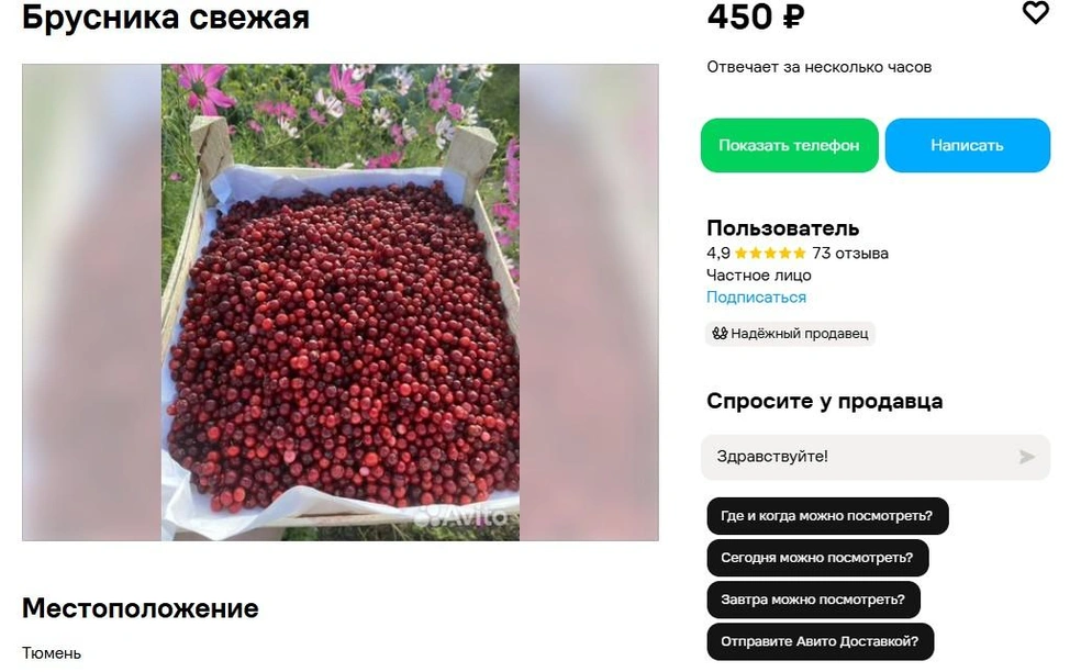 Эти ягоды бережно собрали в Ялуторовском районе. Свежие, не заморозка | Источник: сайт бесплатных объявлений