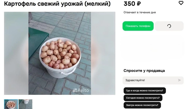 Источник: Avito.ru