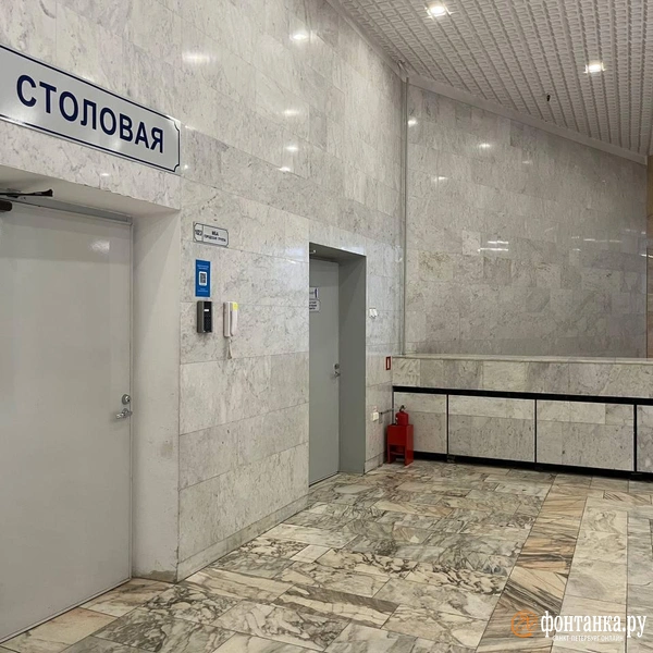 Источник: Дмитрий Грозный / «Фонтанка.ру»