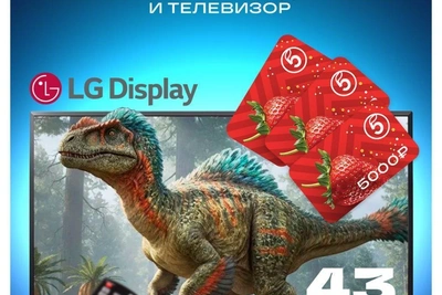 161.RU разыгрывает телевизор LG и сертификаты