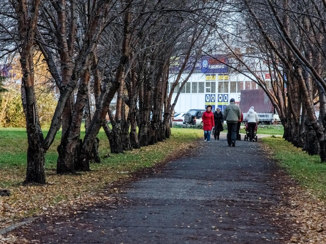 По данным мэрии, проезд в жилмассиве систематически подвергается подтоплению. | Источник: Анна Золотова / NGS.RU