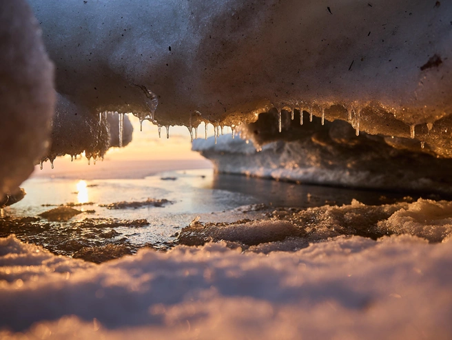 Источник: Александр Ощепков / NGS.RU