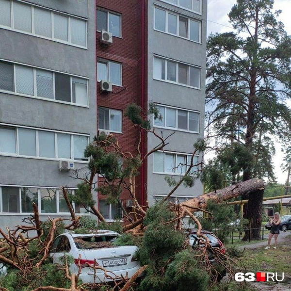 Ветер валил деревья на припаркованные машины | Источник: читатель 63.RU 