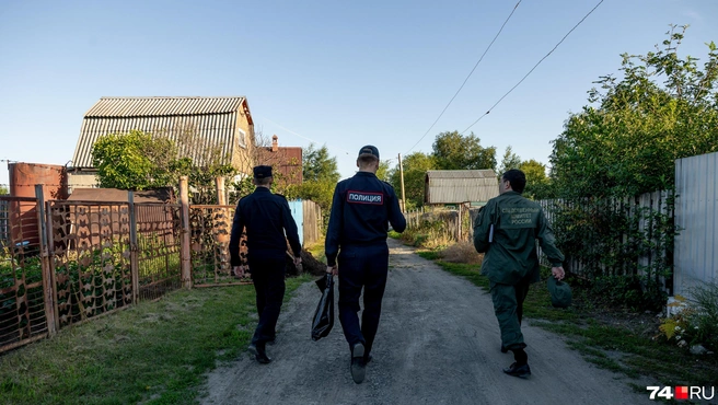 Это второе уголовное дело по нападениям собак в Борзе | Источник: Наталья Лапцевич / 74.RU