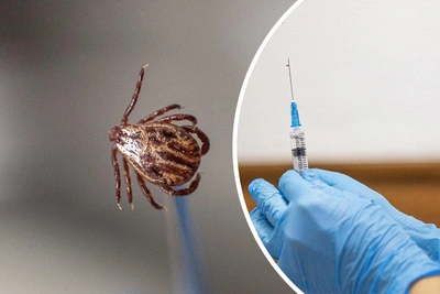 В Красноярске не находят вакцину от клещей — ответ Минздрава