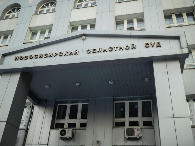 Осуждённая в итоге получила 4 года 6 месяцев лишения свободы в колонии общего режима. | Источник: Алина Скитович / NGS.RU