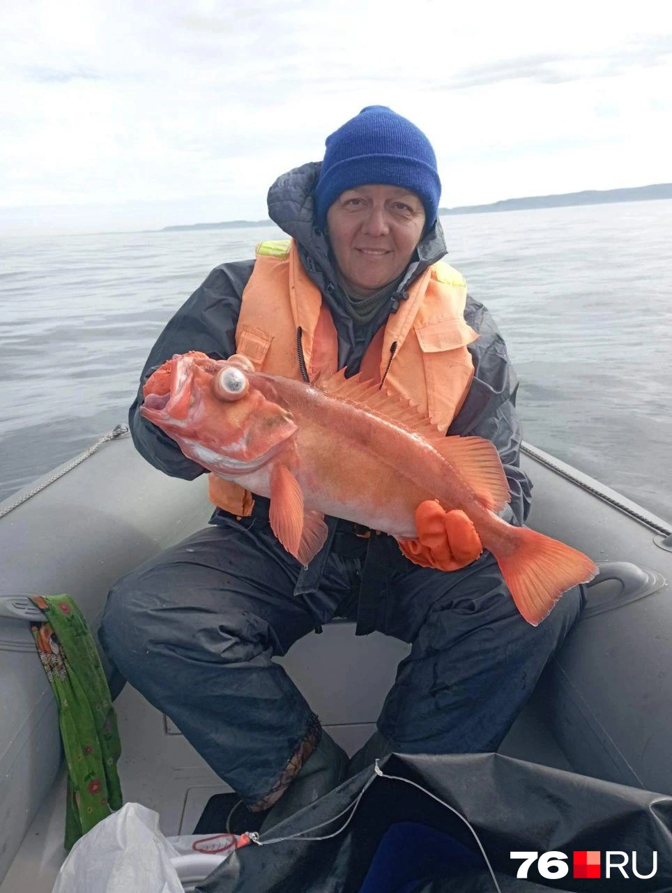 Какая необычная рыба! | Источник: Ирина