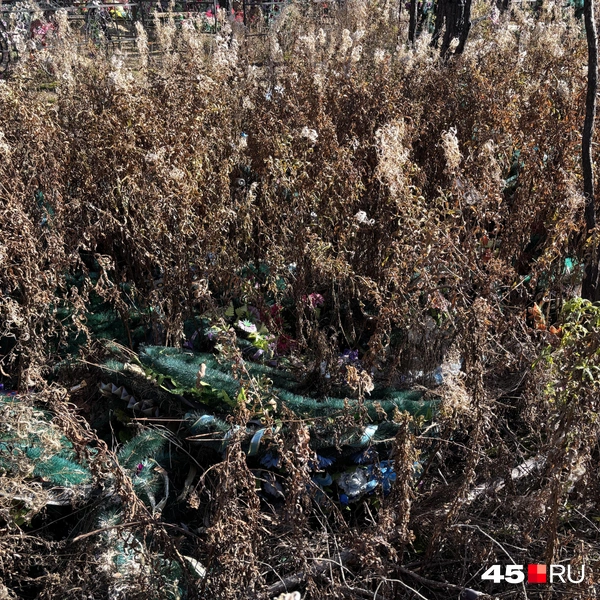 Источник: Кирилл Митин