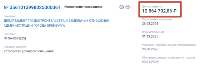 Контракт мэрии и «Денко» на освещение улиц | Источник: «Госзакупки»