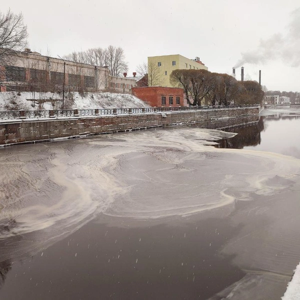 Источник: Сергей Николаев/«Фонтанка.ру»