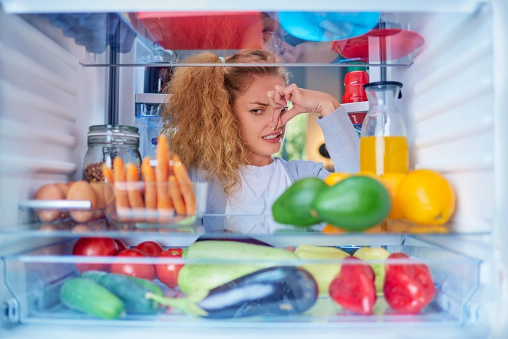 холодильник плесень продукты