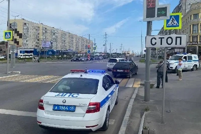 Проверку проводят в ОГИБДД и прокуратуре | Источник: ЧП Курган